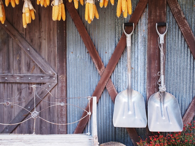 Two shovels hanging on corrugated iron wall.