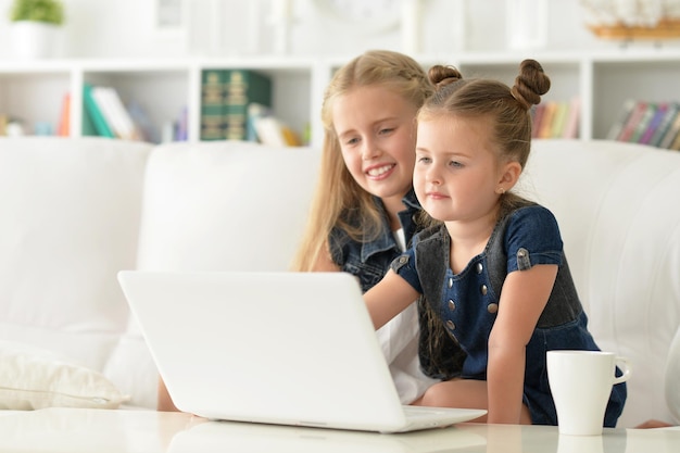 Two sisters using laptop, together at home