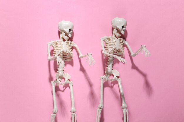 Two Skeletons on pink bright. Halloween decoration, scary theme