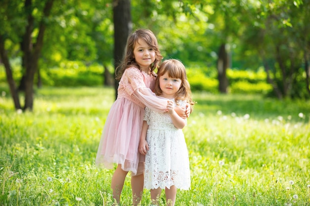 写真 2人の小さな美しい女の子の子供たちが一緒に幸せな遊びと自然の中で笑う