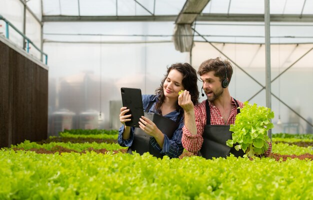 Two small businesspeople organic vegetable garden owner currently introducing customers