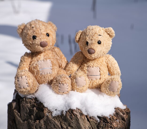 Two small teddy bears are sitting on a stump