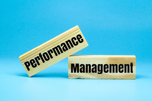 two stems with the word Performance Management The concept of selfperformance management