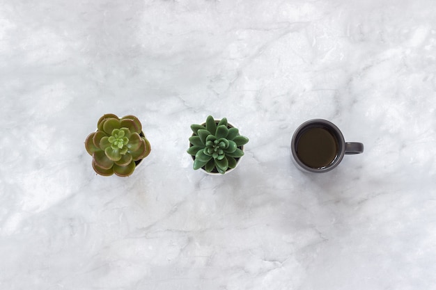 two succulent flowers pots and black cup of coffee stand in row on marble background