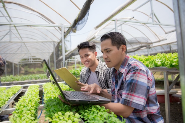 Two team using laptop in hydrophonic farm