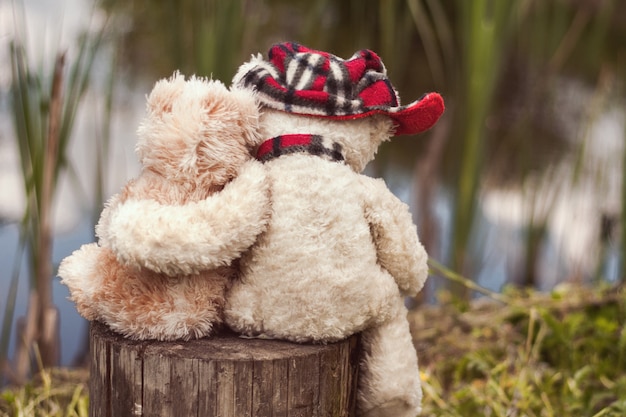 Two teddy bears, embracing, sit on a stump and look at the pond.