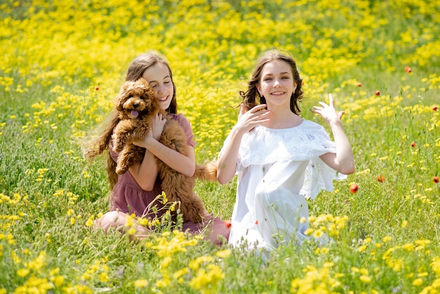 Two teenage girls with a dog in nature communicate and have fun  Nature