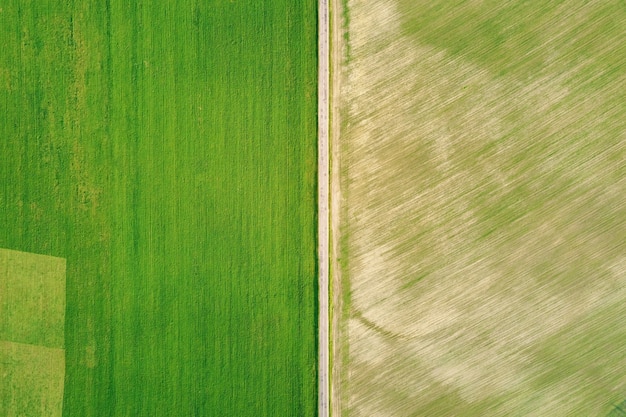 Two textured green fields separated by the road