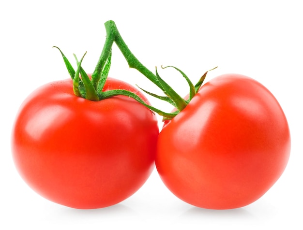 Two tomatoes are sitting on a branch with the stem on them
