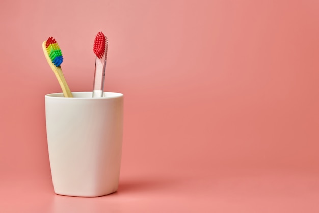 Two toothbrushes in a holder