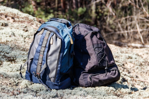 Two tourist backpacks on the glade in pine forest. Hike concept