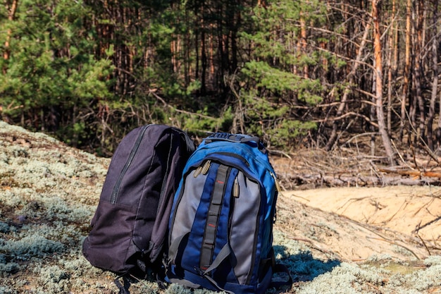 Two tourist backpacks on the glade in pine forest. Hike concept