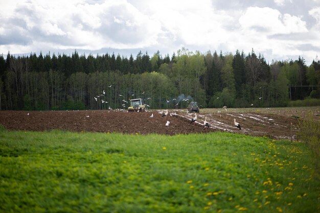 Foto due trattori che arano il fertilizzante nel terreno di un campo agricolo in primavera