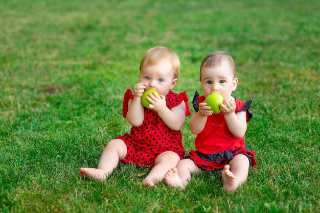 Two twin babies eat a green apple in a red bodysuit on the green grass in summer, space for text, the concept of healthy baby food