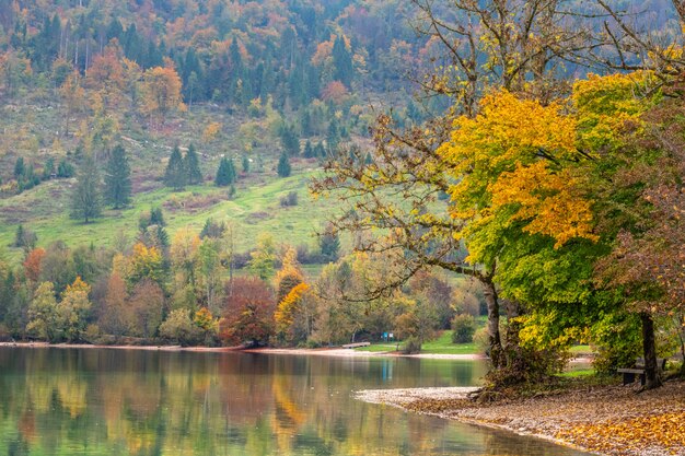 Two unrecognizable tourists go for a canoe trip around the scenic lake Bohinj on a beautiful day in autumn. Travelers kayak towards the shore and vacation homes hiding between trees changing colors