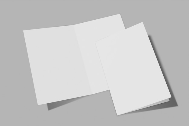 Two vertical booklets isolated on grey background