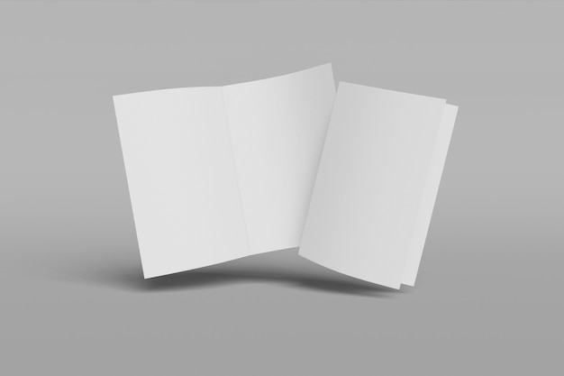 Two vertical booklets isolated on grey background