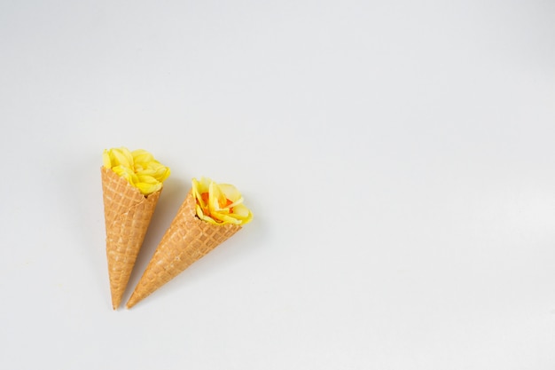 Two wafer cones with narcissus flowers