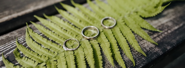 Two wedding rings and an engagement ring lie on a fern plant on a wooden table