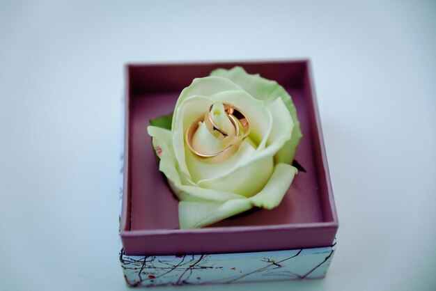 Two wedding rings on the floor with contrast