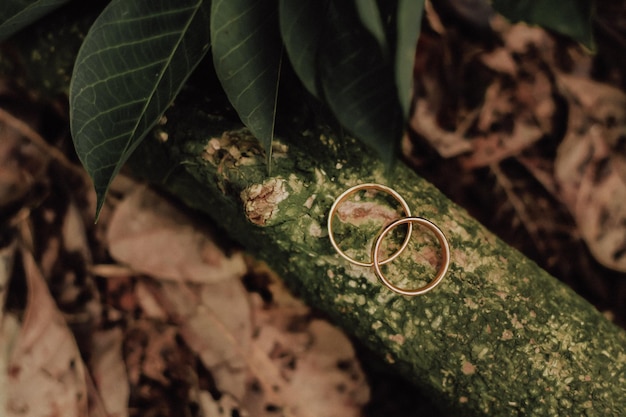 Photo two wedding rings in infinity sign on a wood love concept