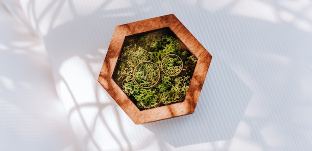 Two wedding rings in a wooden box with a moss plant on a white surface