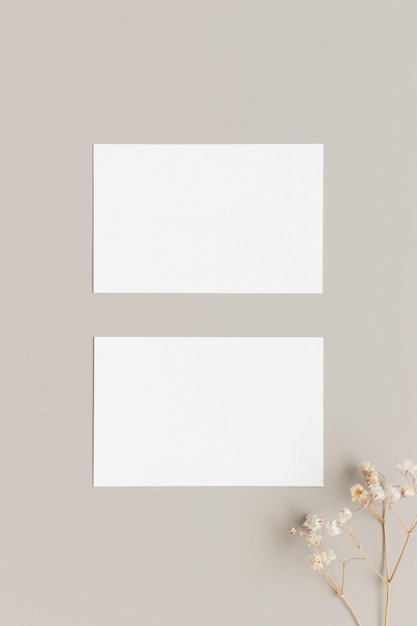 Two white business cards mockup 85x55mm with gypsophila