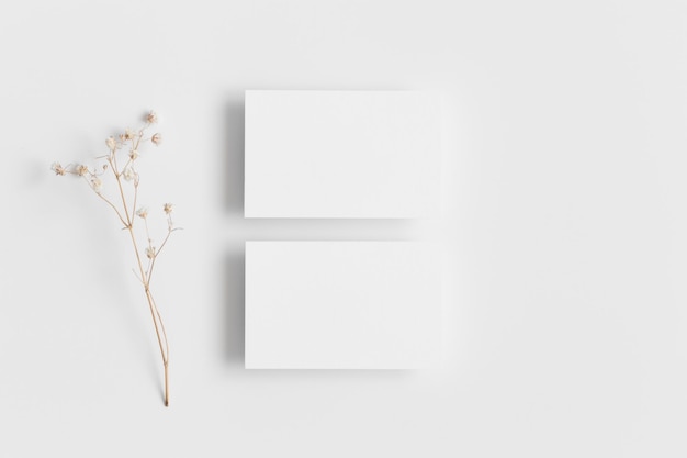 Photo two white business cards mockup 85x55mm with a gypsophila