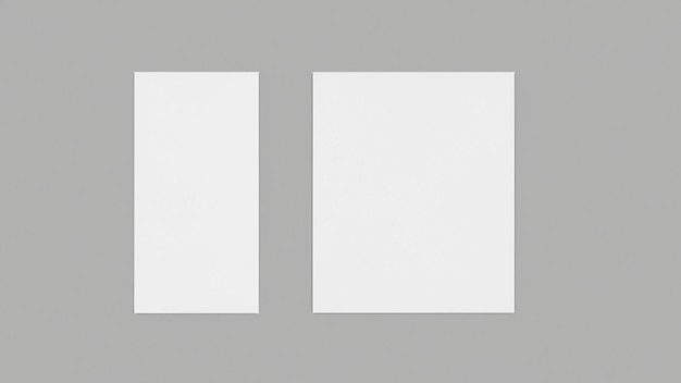 Two white canvases on a gray background