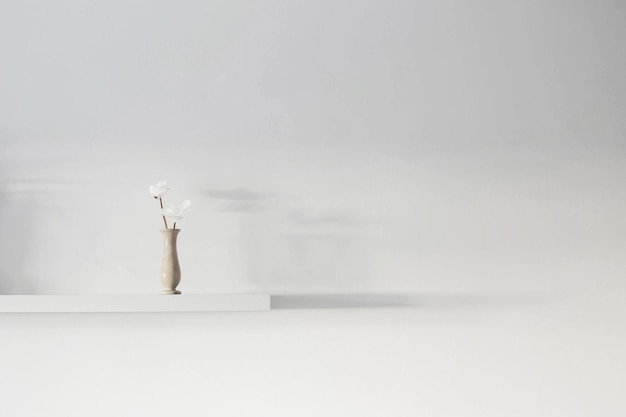 Two white flowers of cyclamen in vase on background white wall