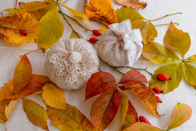 Two white knitted pumpkins on the white background with autumn leaves