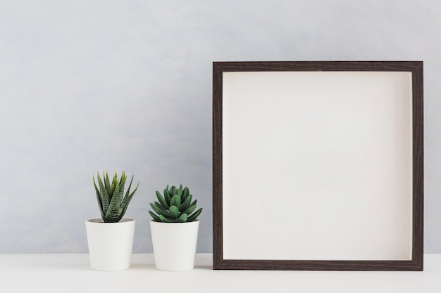 Una pianta bianca del cactus in due bianco con la struttura bianca in bianco della foto sullo scrittorio contro la parete
