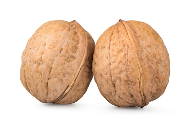 Two whole walnuts isolated on a white background