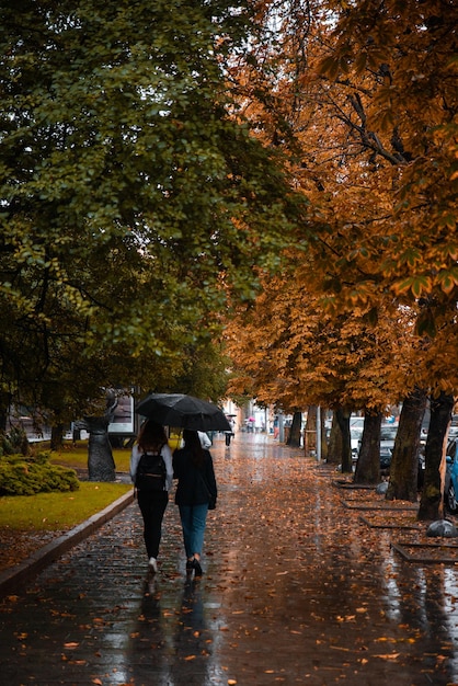 Two woman walking under one umbrella in wet autumn weather yellow leaves on ground