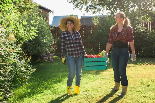 Two women farmer working in gardening copy space gardener carrying crate with freshly harvested vege