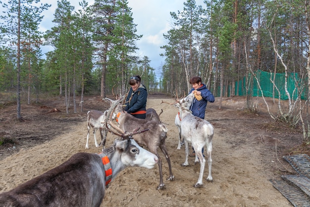 Two women feed reindeer, Sami, Saami village on the Kola Peninsula, Russia. Tourist ethnographic parking