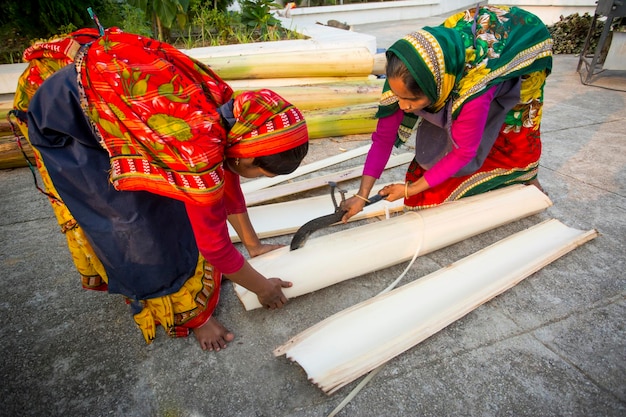 Two women workers are removing the bark from the trunk of a banana tree to make fibers Rubber fiber of banana tree Agricultural waste product