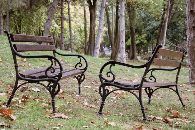 Two wooden benches opposite each other in autumn park