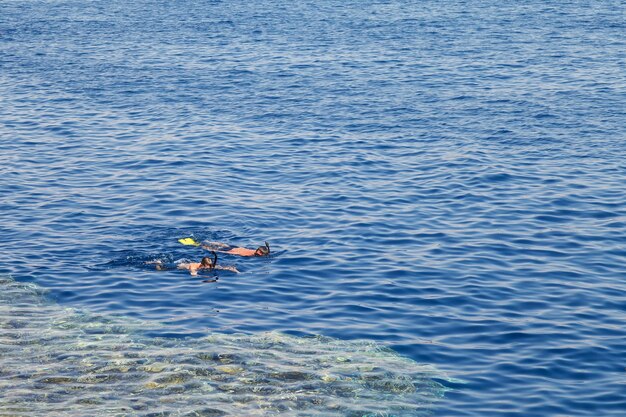 Два молодых спортсмена с маской ласт и трубкой в море