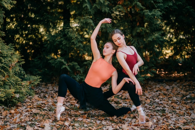 Two young ballerinas posing with grace and elegance at nature