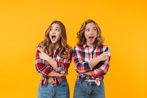 two young beautiful girls wearing plaid shirt smiling and pointing fingers at copyspace isolated