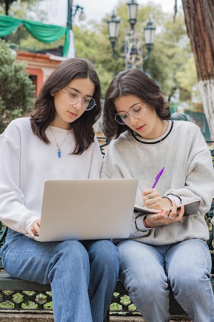 Two young Caucasian twins performing homework using a computer and notebook outdoors.