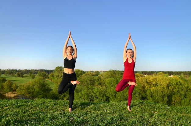 Two young fair-haired girls in sports suits practice yoga on a picturesque green hill in the open air in the evening. The concept of sport  exercising and healthy lifestyles