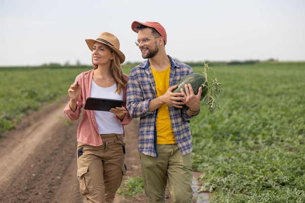 two young farmers a man and a woman are walking in the field and checking something on a tablet