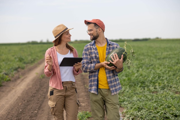 two young farmers a man and a woman are walking in the field and checking something on a tablet