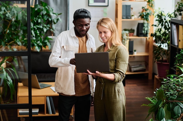 Two young intercultural employees in casualwear looking at screen of laptop