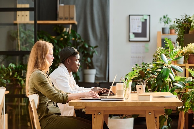 Two young multicultural coworkers in casualwear looking at laptop screens