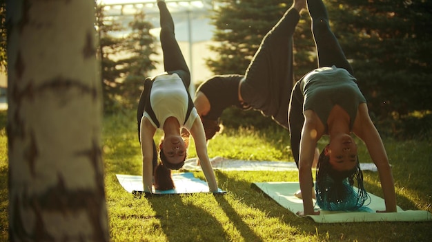 Two young women and a man doing yoga in the park near the pines and birches