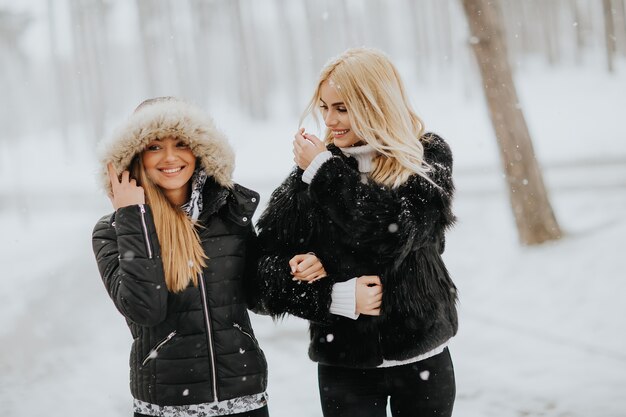 겨울 공원에서 두 젊은 여성
