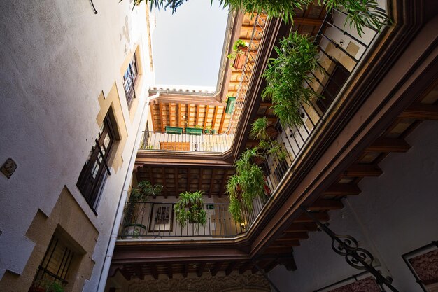 Typical Andalusian patio